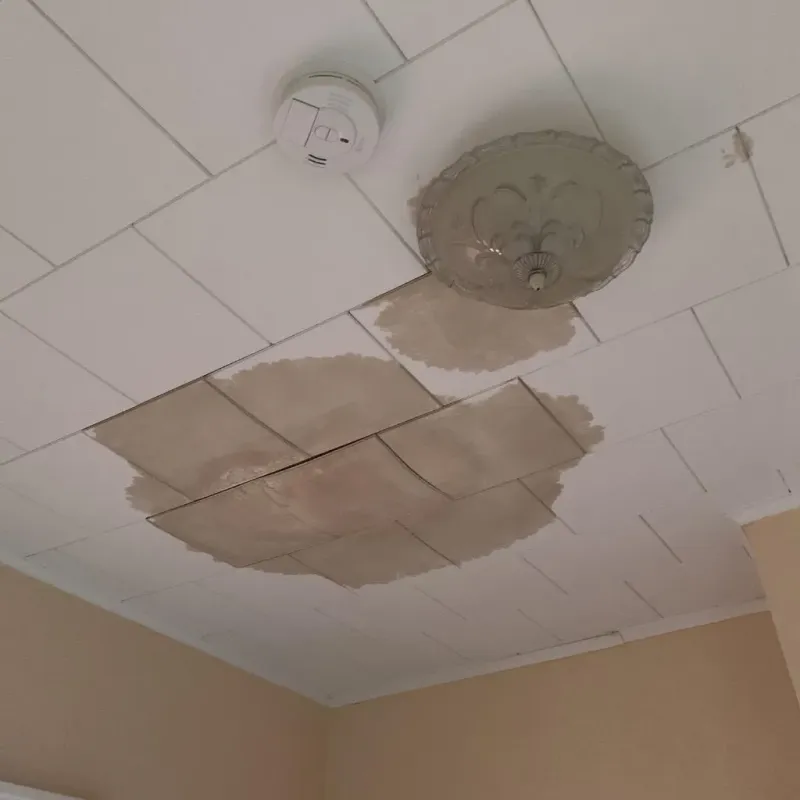 Ceiling Water Damage Repair in Oak Ridge, NC
