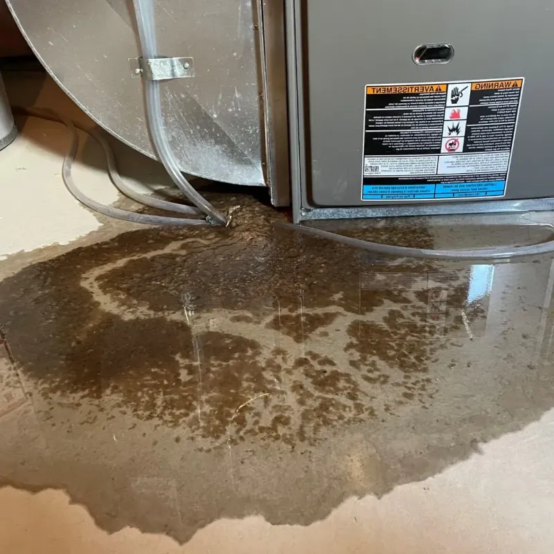 Pipe Burst and Leak Restoration in Oak Ridge, NC