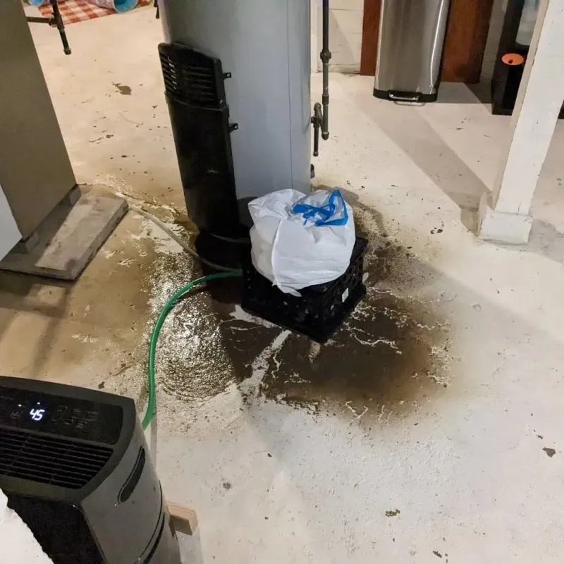 Sewage Backup Cleanup Service in Oak Ridge, NC